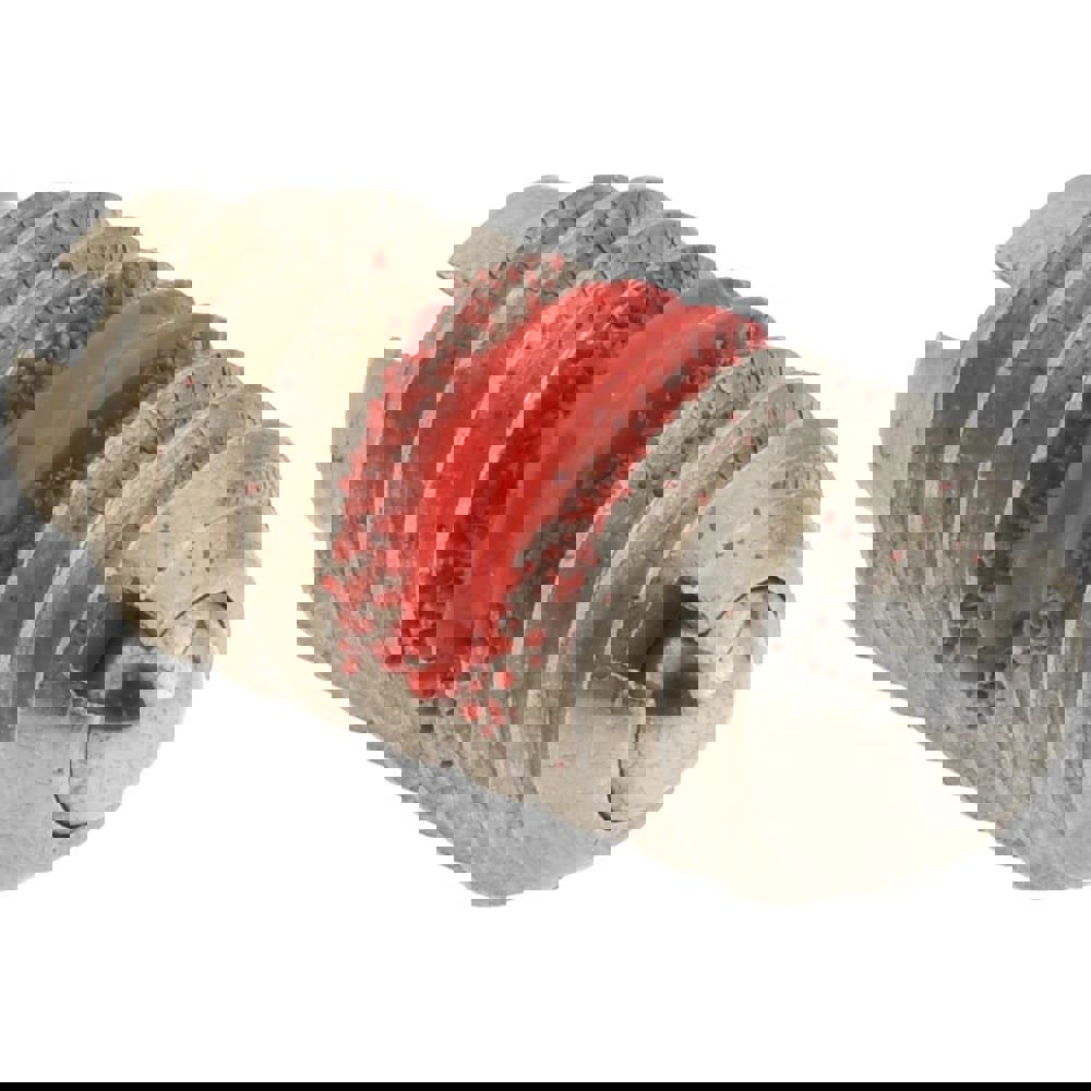 Threaded Ball Plunger: 1/4-20, 0.125